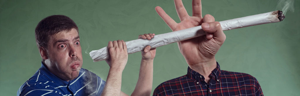Todas la información sobre la marihuana