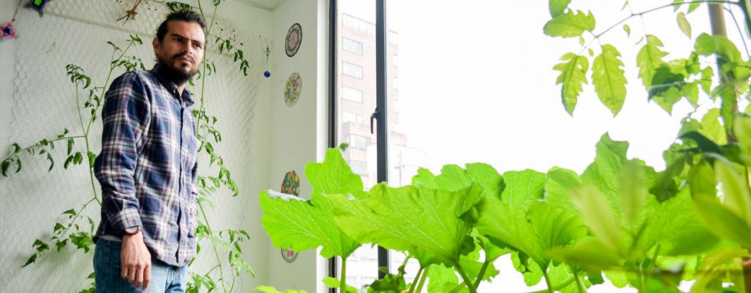 Comer sano, más que una moda