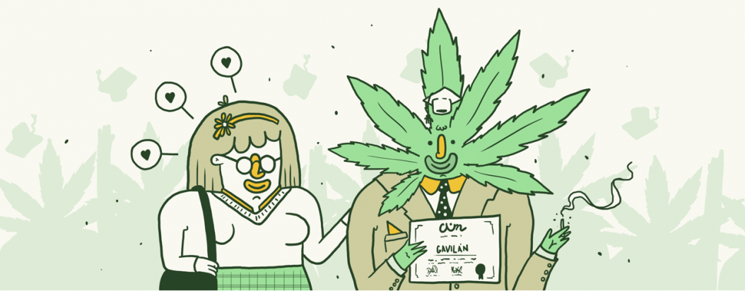 segundo diplomado cannábico de la CUN