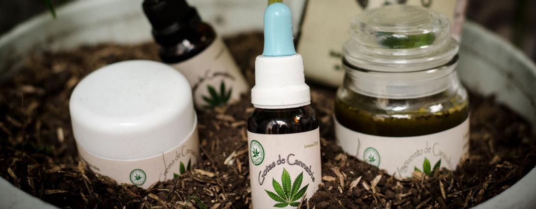Resultado de imagen para Medicinal de Cannabis