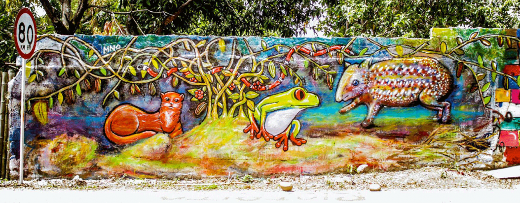 La Alegría Resiste y Yuma Despierta son dos iniciativas que usan el arte urbano y la música para hacerles frente a la pérdida de fauna