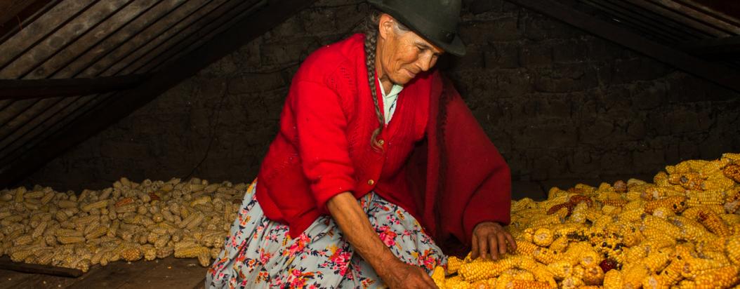 Las manos que cultivan lo que nos comemos están llenas de un conocimiento imprescindible y su labor es vital para la ciudad.