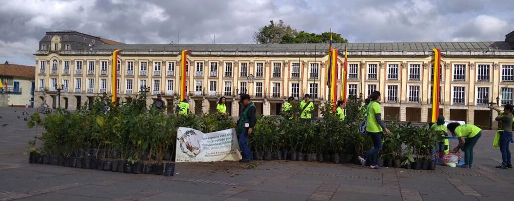 La negativa de la Alcaldía a recibir 2.339 árboles para la Van der Hammen