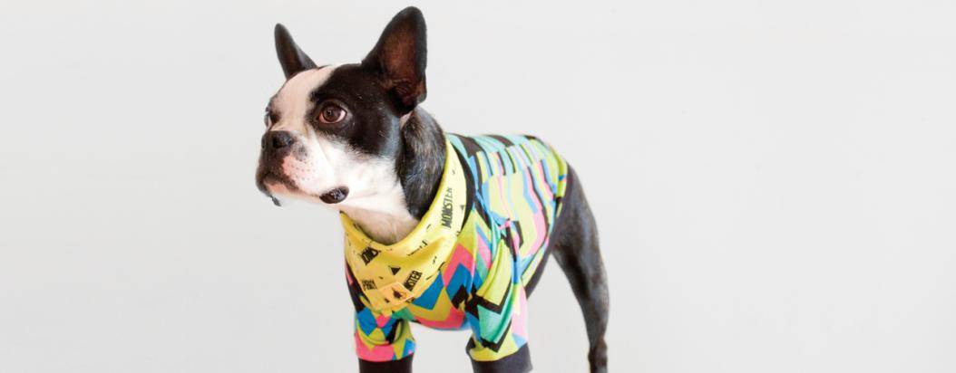Moda canina: perros que no usan ropa cursi | CARTEL URBANO