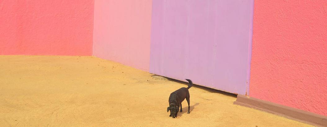 galería online