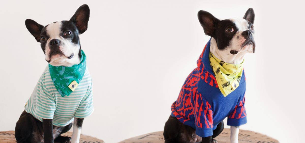 Moda canina: perros que no usan ropa cursi | CARTEL URBANO