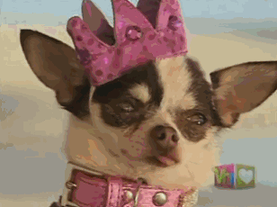 anigif_enhanced-buzz-23719-1343755735-11.gif