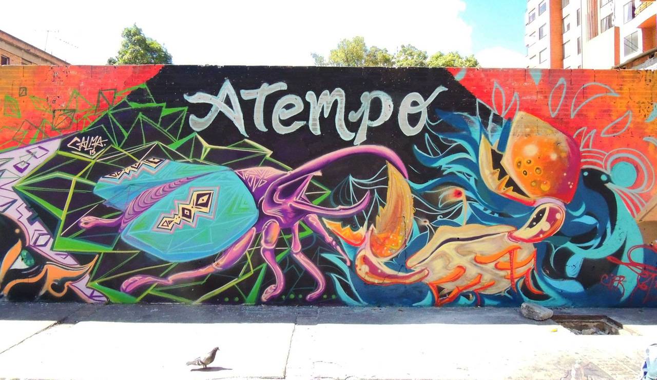 atempo-int-1_1.jpg