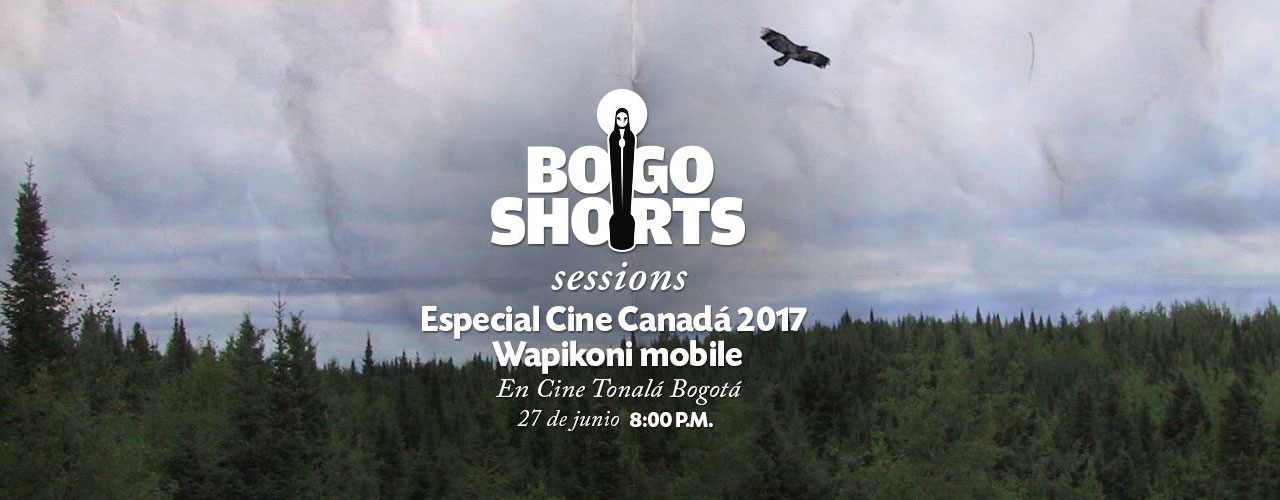 bogo-portada_4.jpg