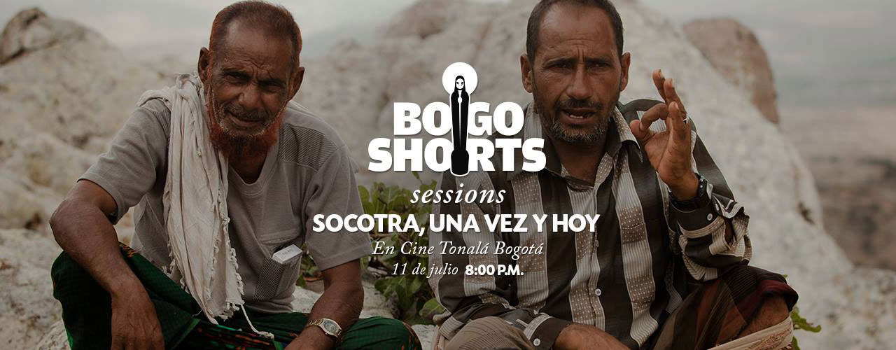bogo-portada_6.jpg