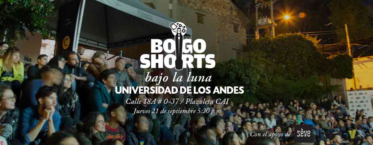 bogo2-portada.jpg