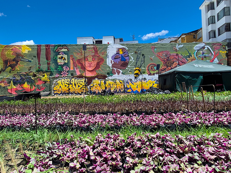 bogota-8.jpg