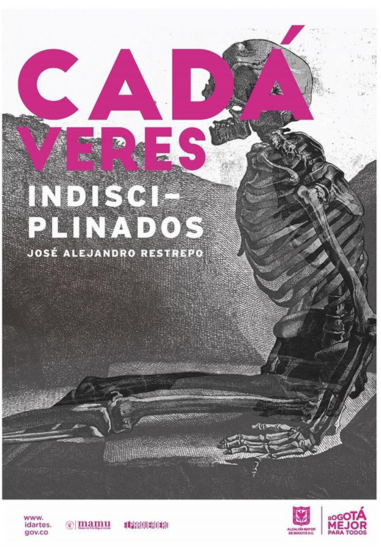 cada-flyer.jpg