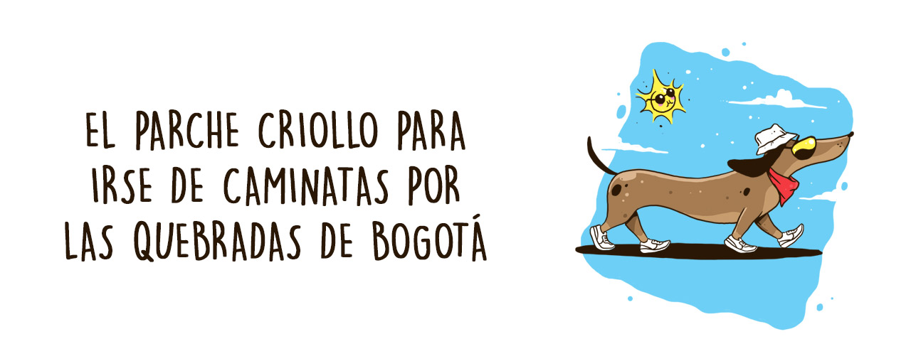 caminata.jpg