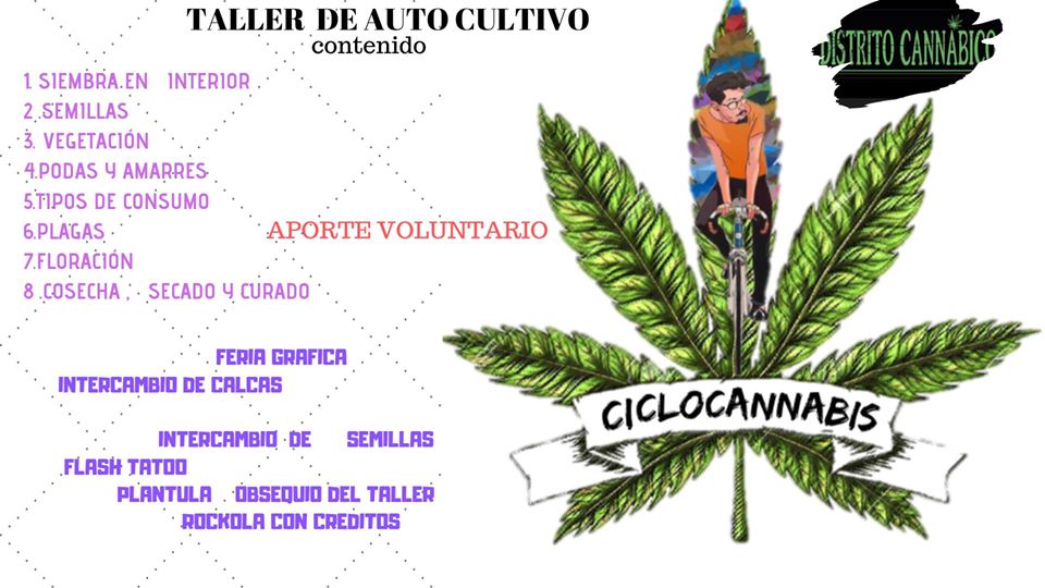 cannaog.jpg