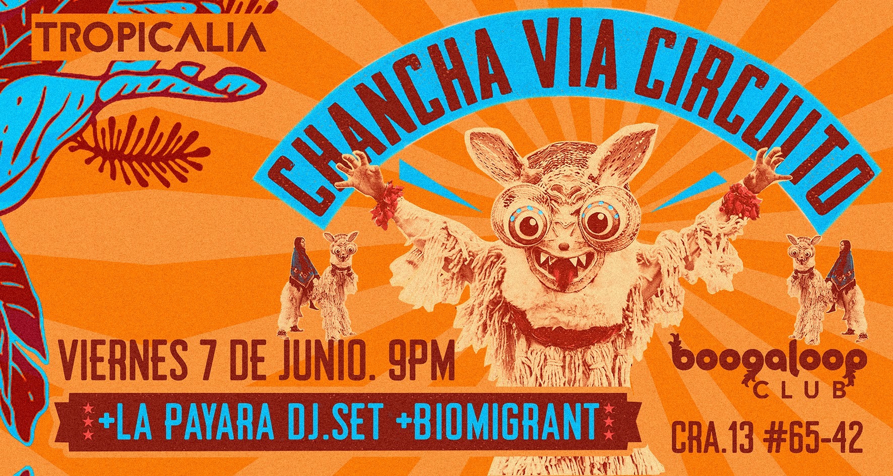 chancha1.jpg