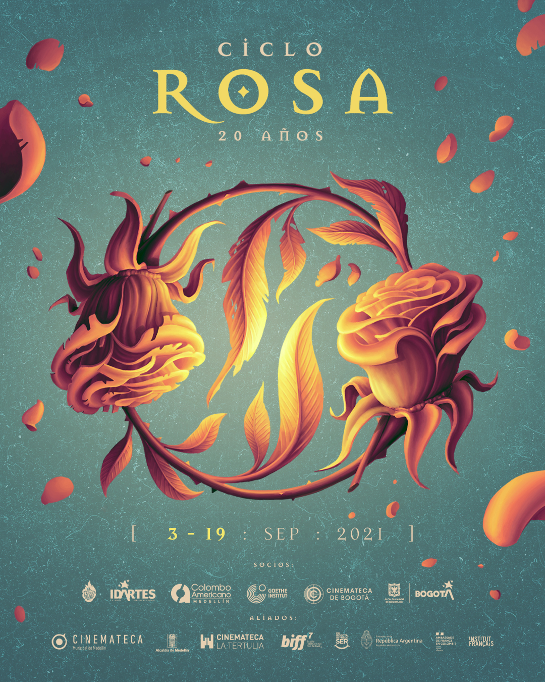 ciclo_rosa_pieza_principal_redes_1080_-_1350.jpg
