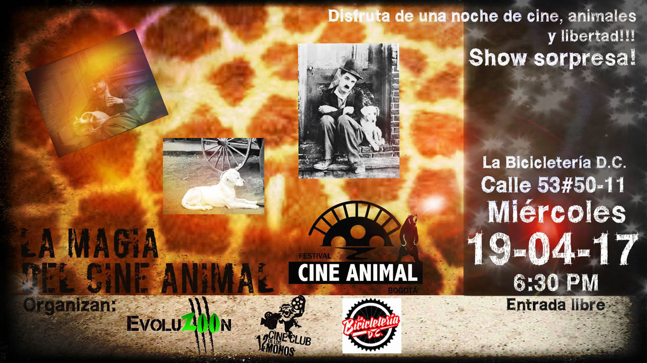 cineanimal-flyer.jpg