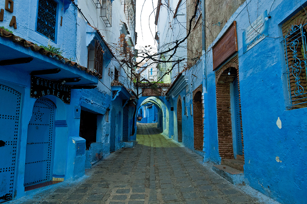 ciudadesllenasdenaturaleza6.jpg