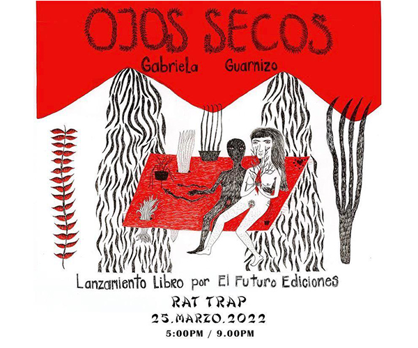 cuadrada-ojossecos.jpg