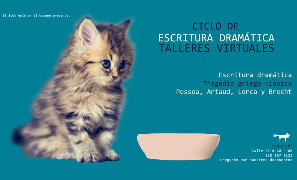 escritura.jpg