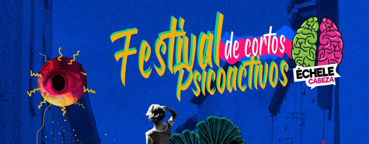 fest-portada.jpg