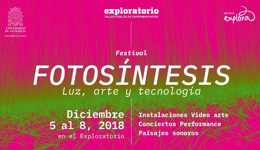 fotsintesis.jpg