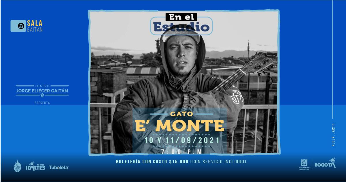 gatoemonte.jpeg
