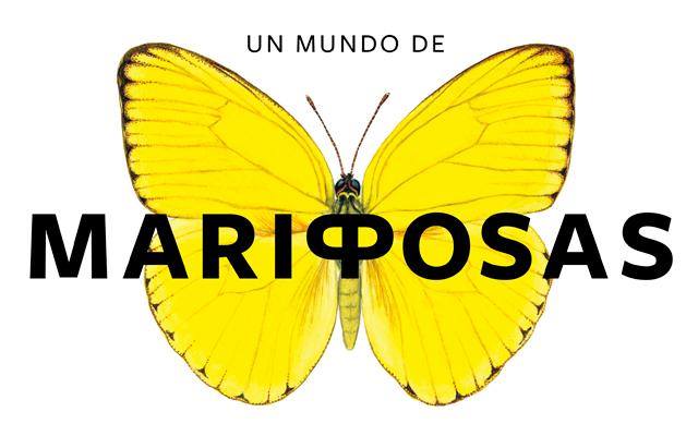 mariposas.jpg