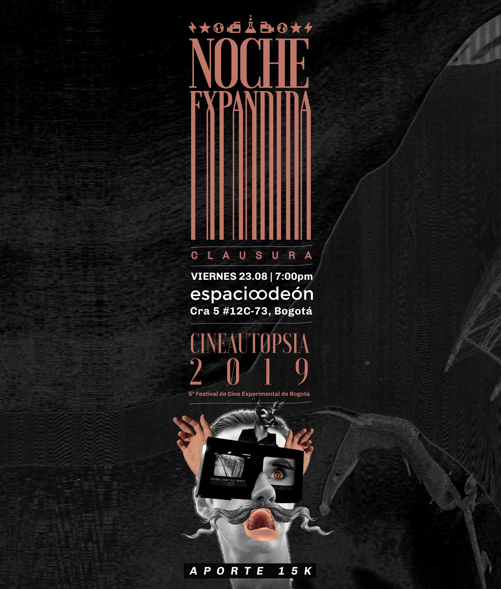 nochedecineexpog.jpg