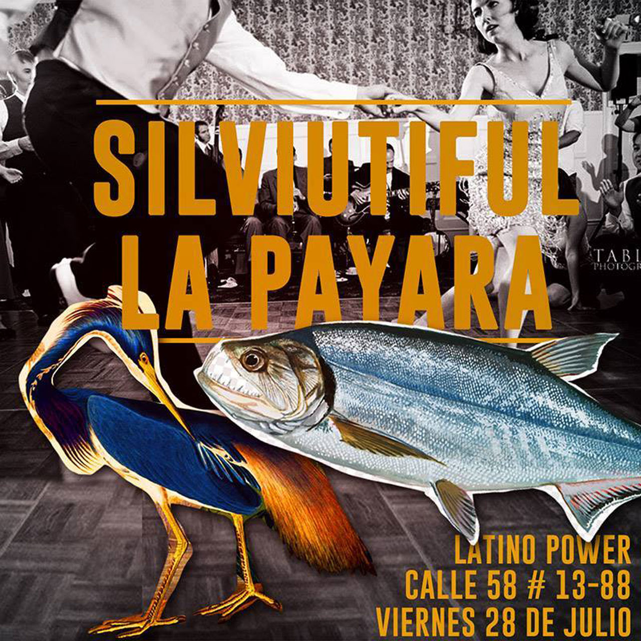 payara-flyer_0.jpg