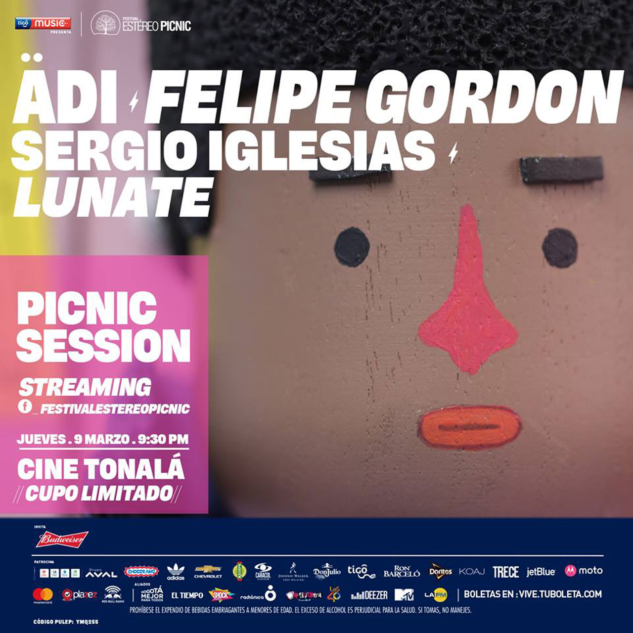 picnicflyer.jpg