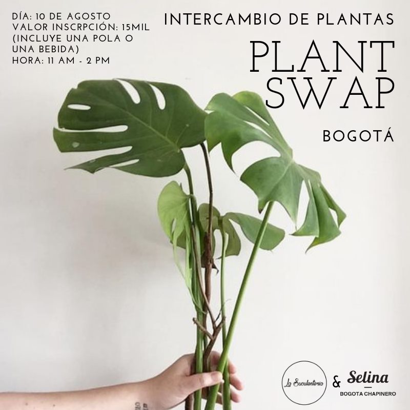 plantswap.jpg