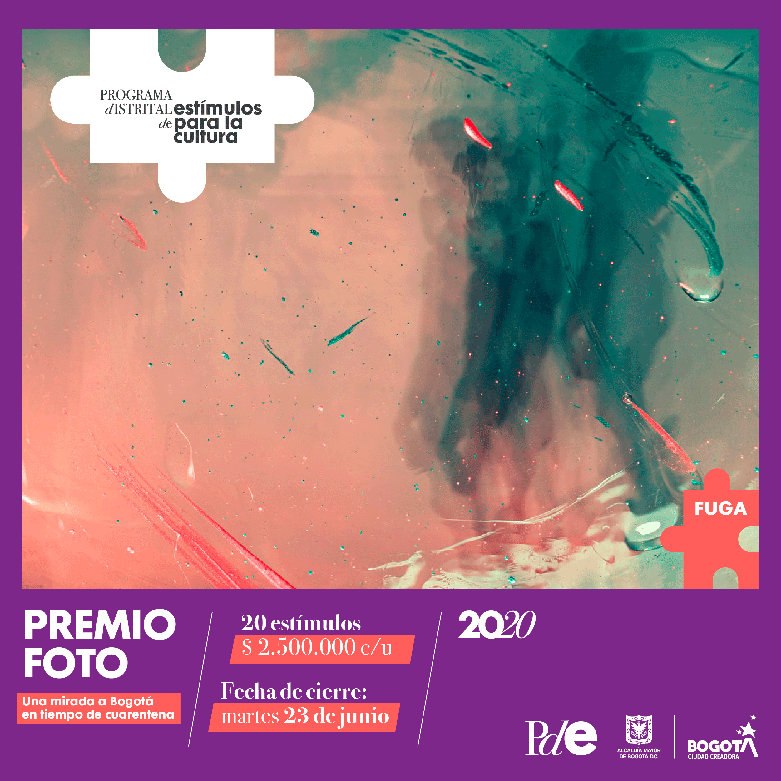 programa.png