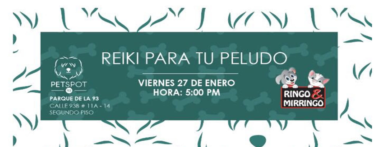 reiki-portada.jpg