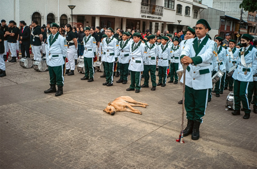 ruberosoria18.jpg