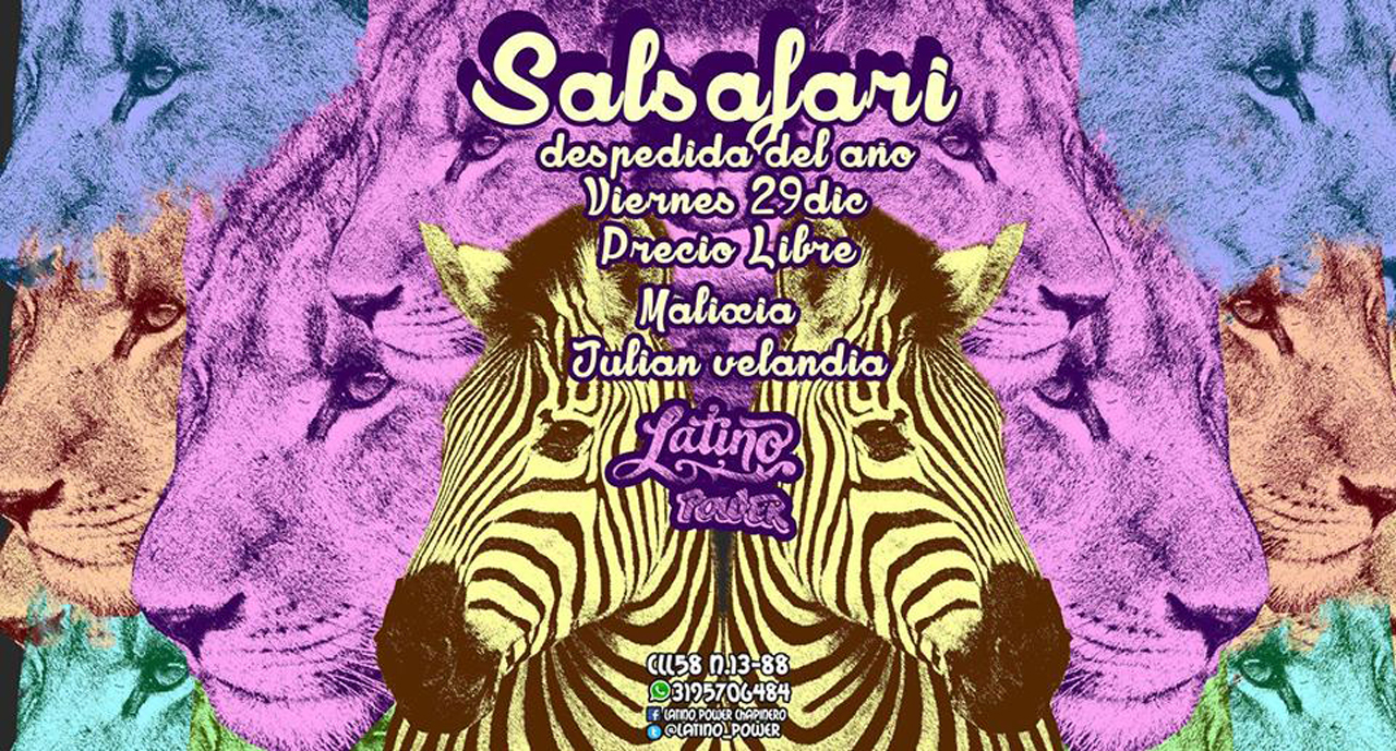 salsafari-flyer_0.jpg