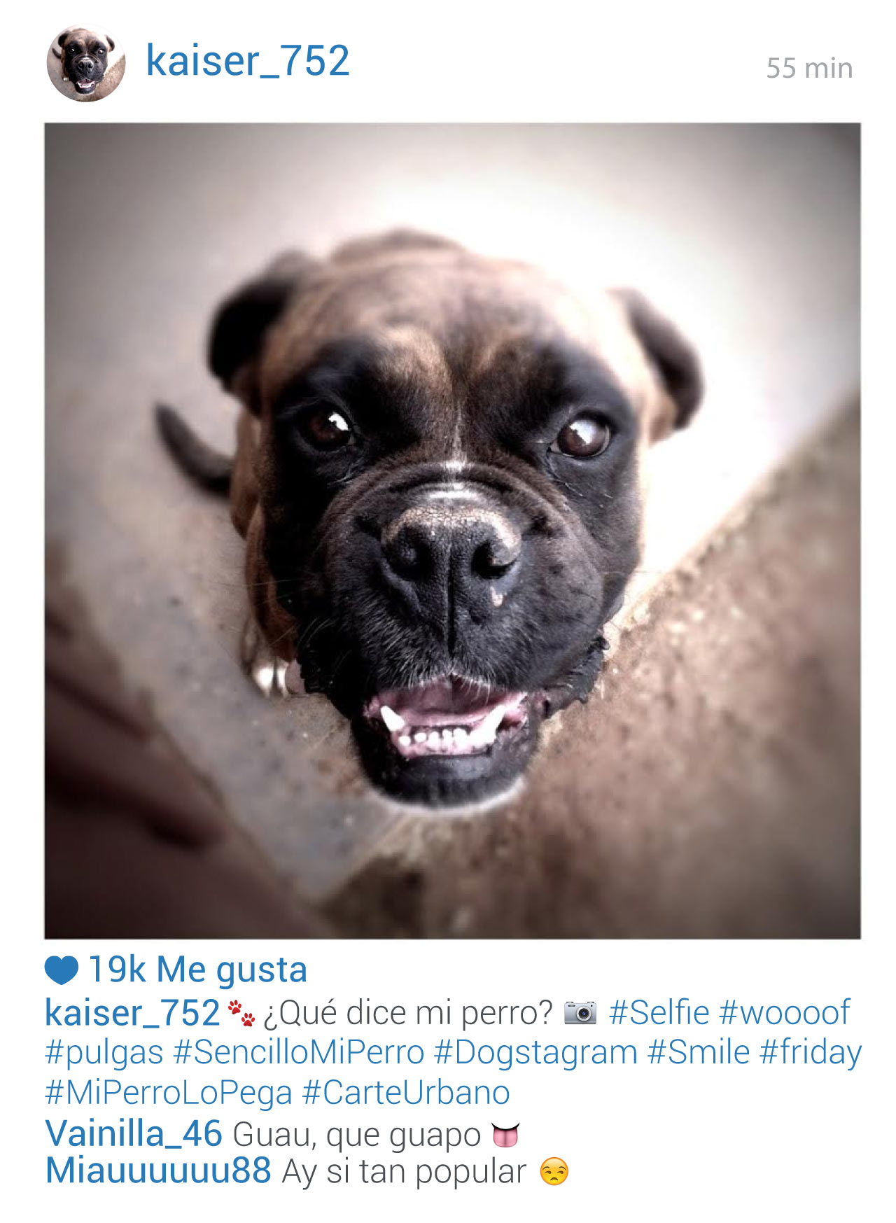 selfie-perros.jpg