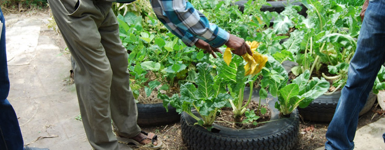 taller-agricultura-portada.jpg