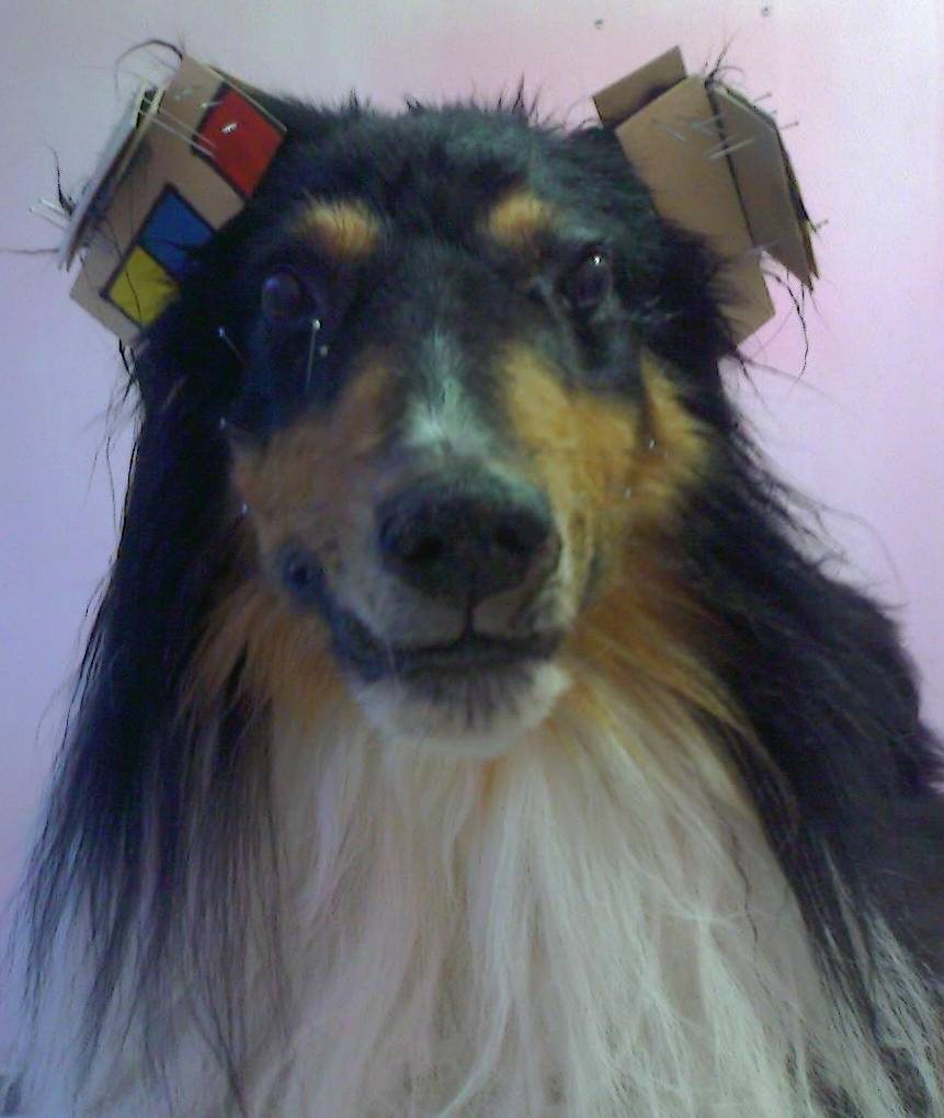 taxidermia_4.jpg