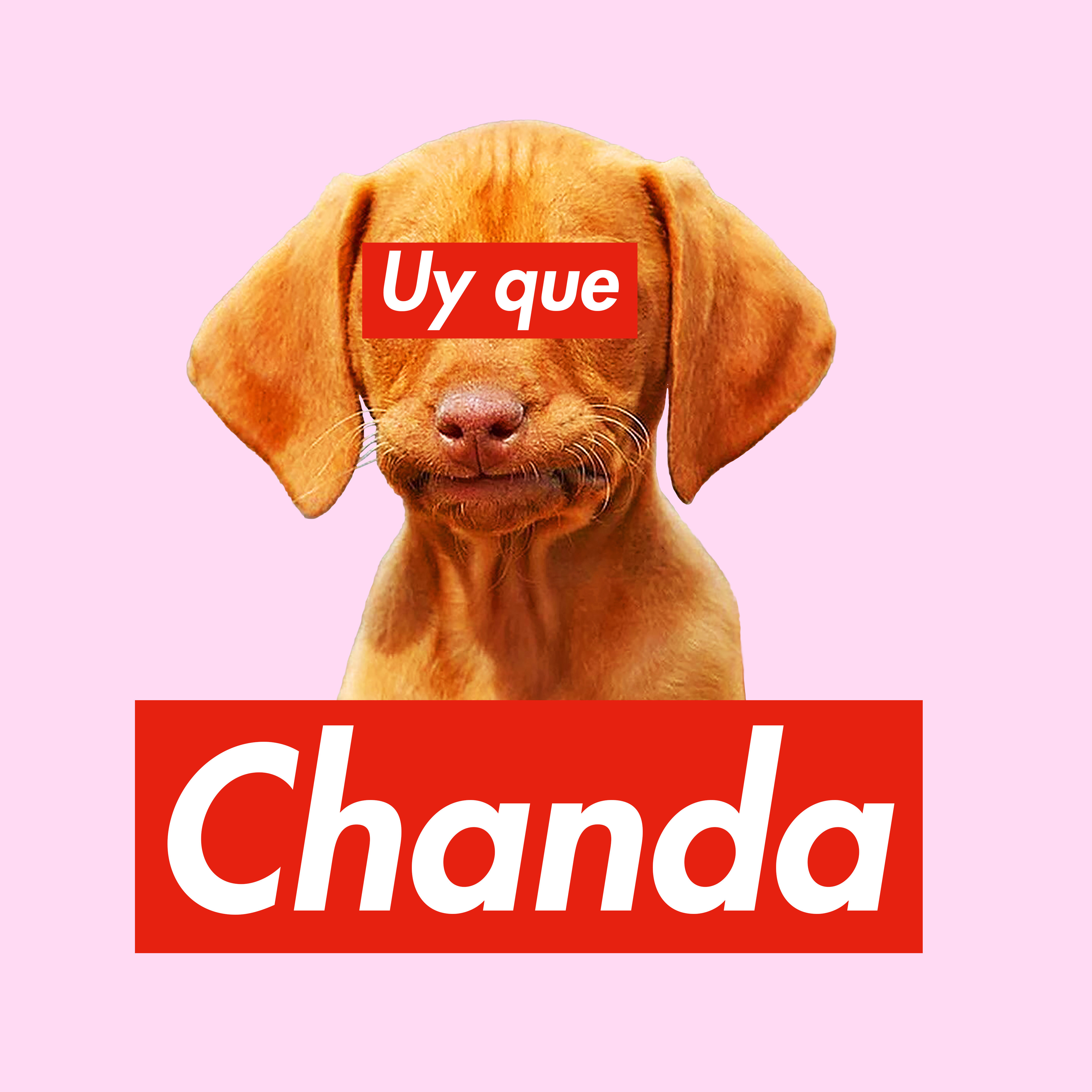 uy-que-chanda.jpg