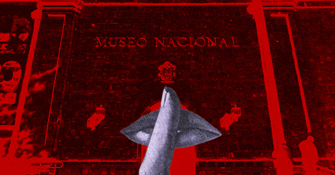 Desmonte de piezas del Museo Nacional: