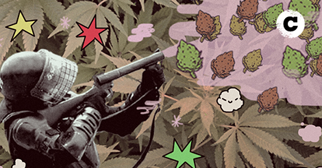 Cinco recomendados cannábicos para cerrar nuestro 420 pandémico 