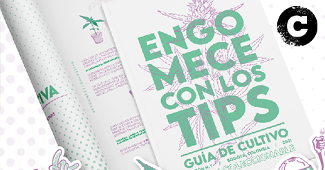‘Engomece con los tips’, una guía de autocultivo de cannabis para los consumidores conscientes  