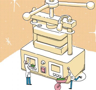 Entre extracciones de rosin y otros procesos naturales se mueve Chala2s, un emprendimiento cannábico boyacense
