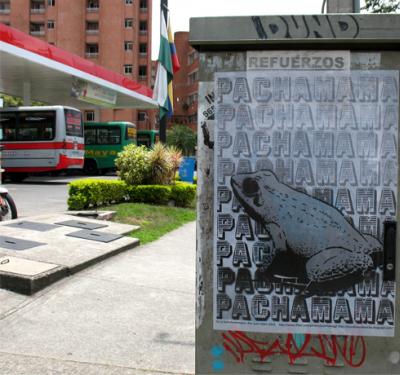 El crecimiento espiritual de Pachamama con el yage 2