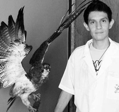 Taxidermia, manipulación de animales muertos.